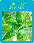 Organic Herbal Cleanse & Detox Products for the Whole Body